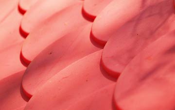 Bromstead Common plastic roof costs