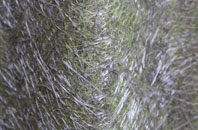 Bromstead Common fibreglass roof work